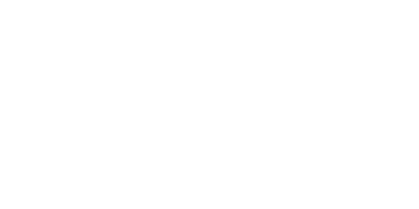 넷엘리먼츠 logo